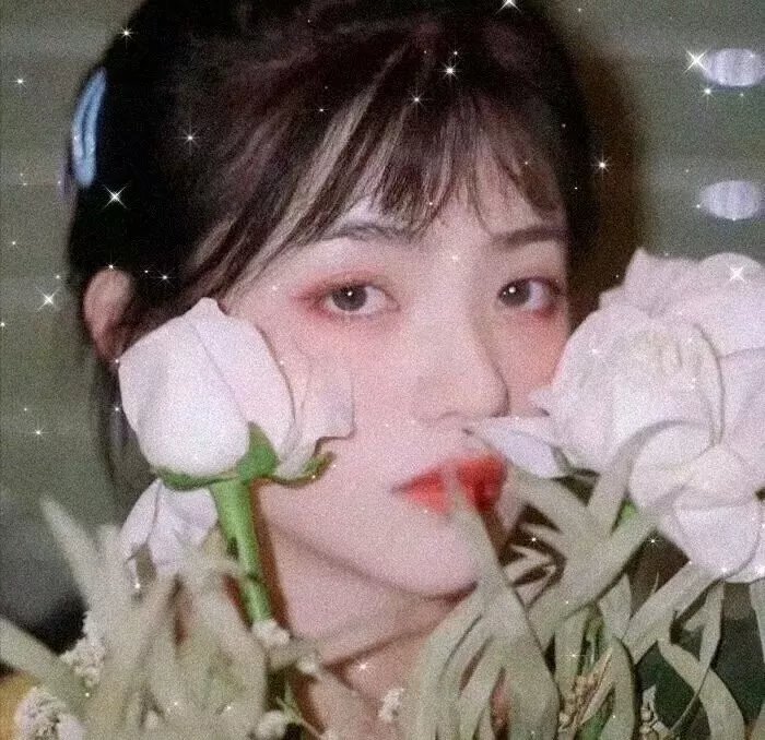 鱼缸里的生活